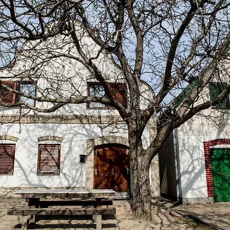 Гостевой дом Berger Pince-vendeghaz, Hajosi Pincek